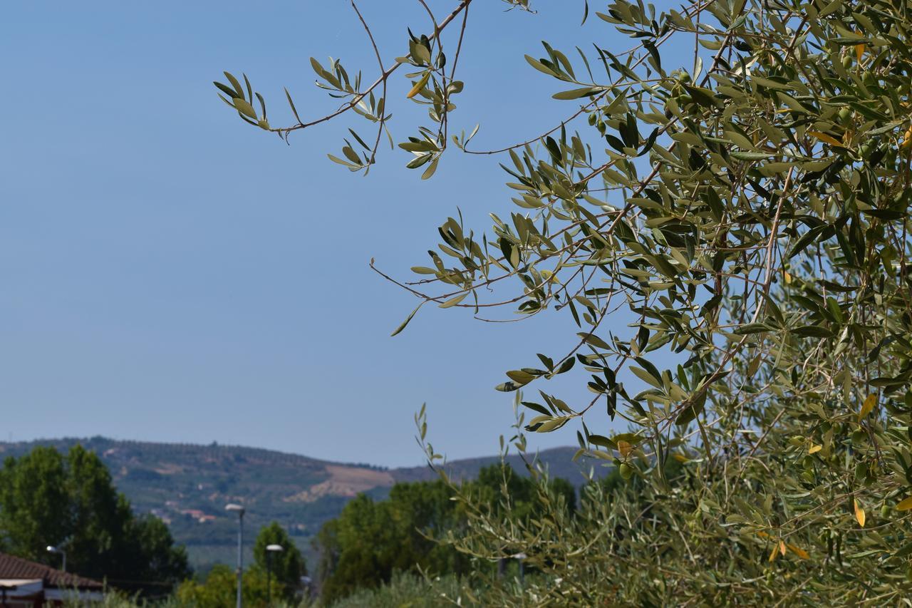 Bed and Breakfast Il Rifugio D'Amare Agropoli Exterior foto